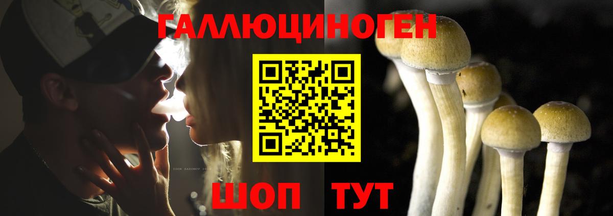Псилоцибиновые грибы мицелий  Вход с VPN  Улан-Удэ  Галлюциногенные грибы Psilocybine cubensis 